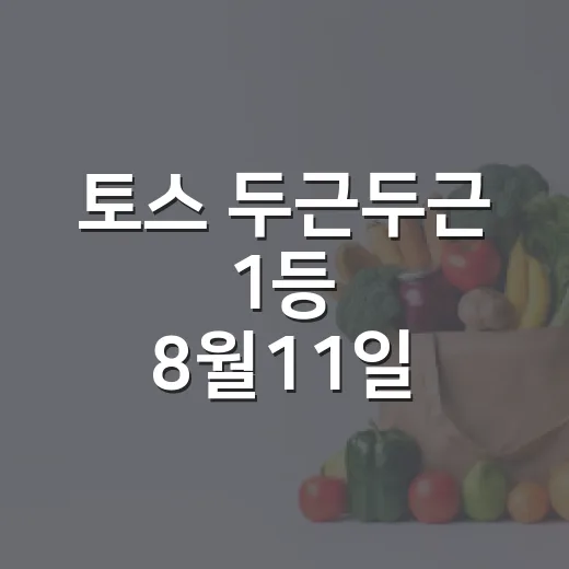 토스 두근두근 1등 8월11일 확인하는 방법, 당첨 알림을 볼 때 헷갈리는 부분 - 요약