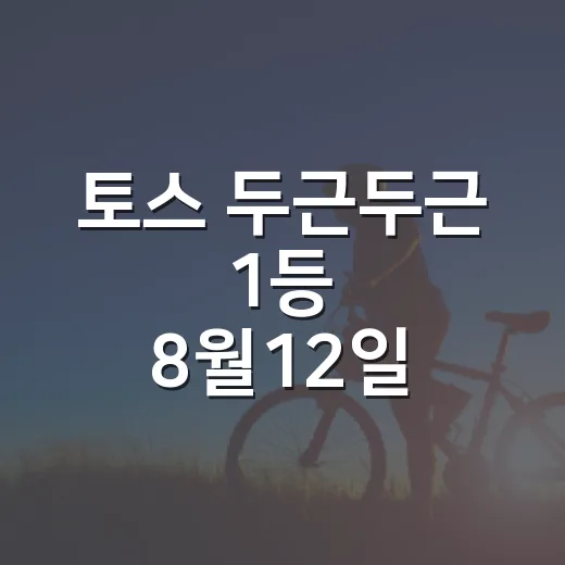 토스 두근두근 1등 8월12일 확인하는 방법, 헷갈릴 때 이렇게 보세요 - 요약