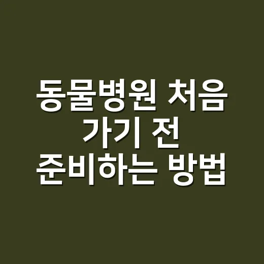동물병원 처음 가기 전 준비하는 방법 - 요약