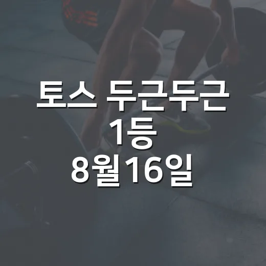 토스 두근두근 1등 8월16일 확인하는 방법, 앱에서 놓치지 않으려면 이렇게 - 요약