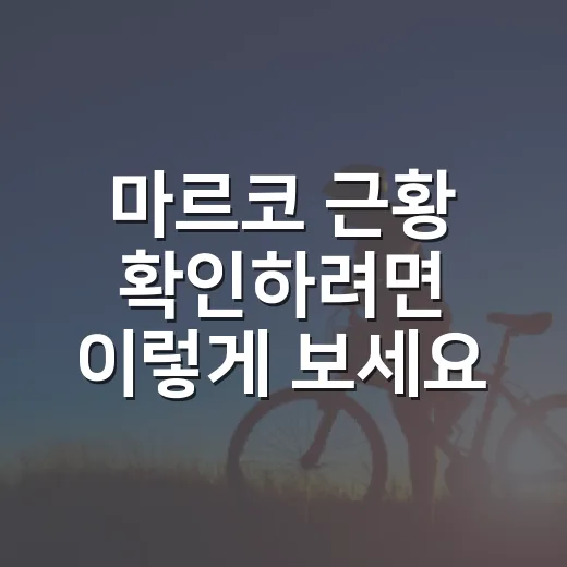 마르코 근황 확인하려면 이렇게 보세요 - 요약