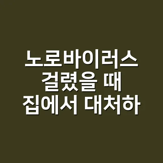 노로바이러스 걸렸을 때 집에서 대처하는 방법 - 요약