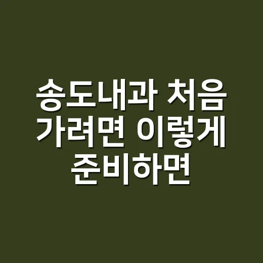 송도내과 처음 가려면 이렇게 준비하면 덜 헤맵니다 - 요약