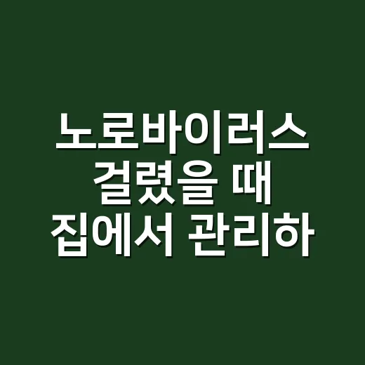 노로바이러스 걸렸을 때 집에서 관리하는 방법과 병원 가야 할 때 - 요약