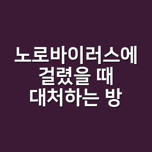 노로바이러스에 걸렸을 때 대처하는 방법, 가족 전파 줄이려면 이렇게 - 요약