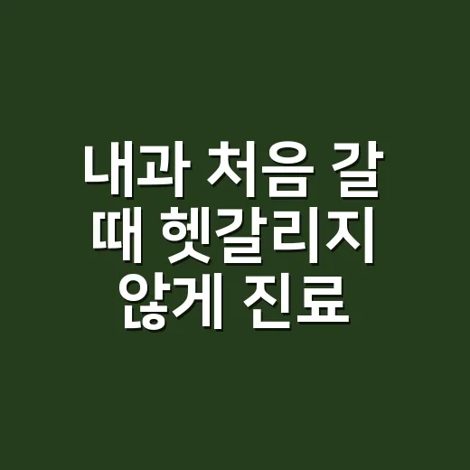 내과 처음 갈 때 헷갈리지 않게 진료받는 방법 - 요약