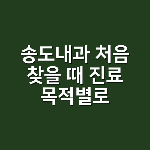 송도내과 처음 찾을 때 진료 목적별로 고르는 방법 - 요약