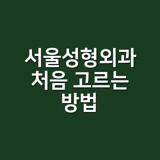 서울성형외과 처음 고르는 방법, 상담 전에 확인할 것들 - 요약