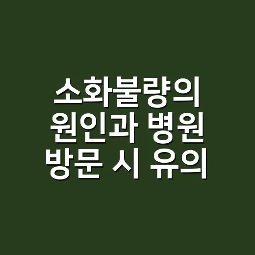 소화불량의 원인과 병원 방문 시 유의할 점 - 요약
