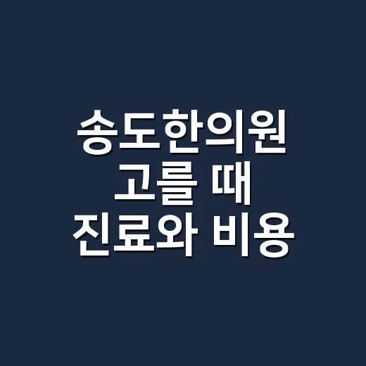 송도한의원 고를 때 진료와 비용 확인하는 방법 - 요약
