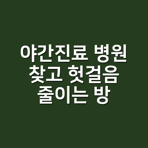 야간진료 병원 찾고 헛걸음 줄이는 방법 - 요약