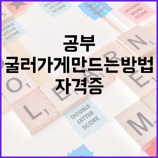 자격증 공부 꾸준히 굴러가게 만드는 방법 - 요약