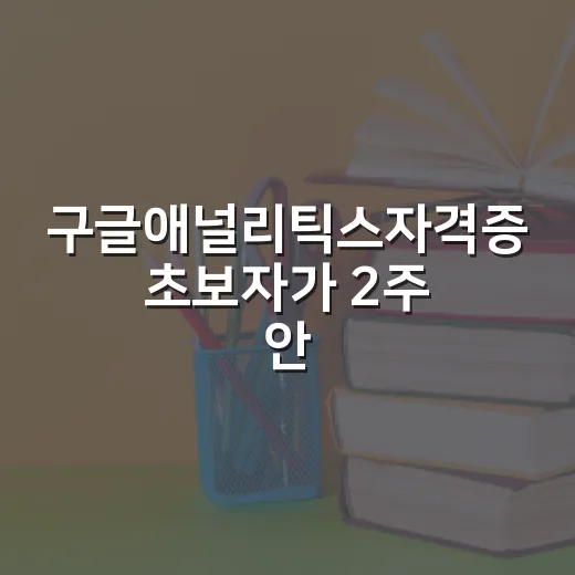 구글애널리틱스자격증 초보자가 2주 안에 준비하는 방법 - 요약