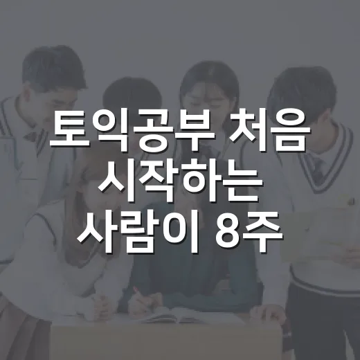 토익공부 처음 시작하는 사람이 8주 동안 점수 올리는 방법 - 요약