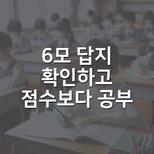 6모 답지 확인하고 점수보다 공부 방향 잡는 방법 - 요약