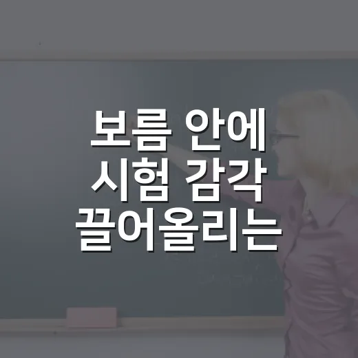보름 안에 시험 감각 끌어올리는 방법 - 요약