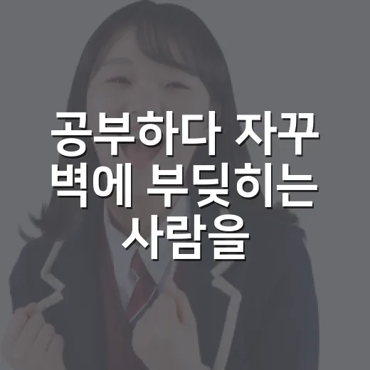 공부하다 자꾸 벽에 부딪히는 사람을 위한 시험 준비 방법 - 요약