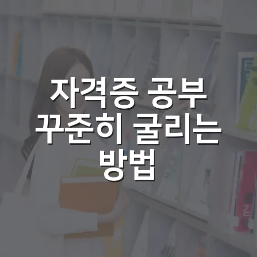 자격증 공부 꾸준히 굴리는 방법, 초보자는 이렇게 시작하면 됩니다 - 요약