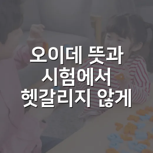 오이데 뜻과 시험에서 헷갈리지 않게 외우는 방법 - 요약