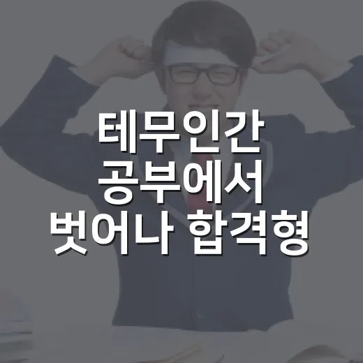 테무인간 공부에서 벗어나 합격형 루틴 만드는 방법 - 요약