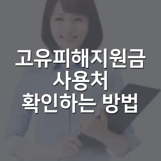 고유피해지원금 사용처 확인하는 방법, 헷갈릴 때 이렇게 보면 됩니다 - 요약