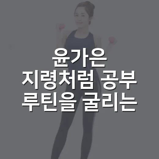 윤가은 지령처럼 공부 루틴을 굴리는 방법 - 요약