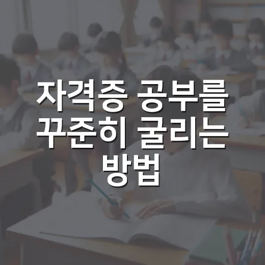 자격증 공부를 꾸준히 굴리는 방법, 초보자는 이렇게 시작하세요 - 요약