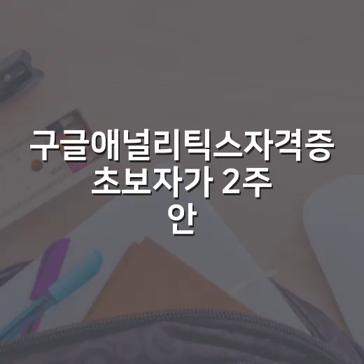 구글애널리틱스자격증 초보자가 2주 안에 준비하는 방법 - 요약