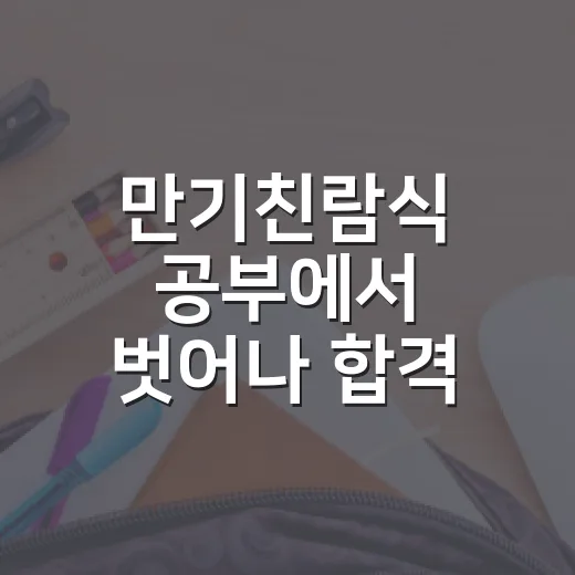 만기친람식 공부에서 벗어나 합격 루틴 만드는 방법 - 요약