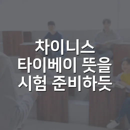 차이니스 타이베이 뜻을 시험 준비하듯 이해하는 방법 - 요약