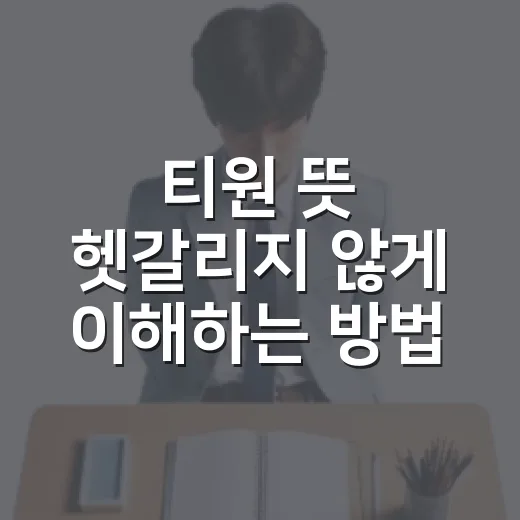 티원 뜻 헷갈리지 않게 이해하는 방법 - 요약