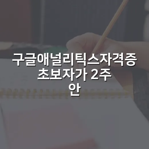 구글애널리틱스자격증 초보자가 2주 안에 준비하는 방법 - 요약