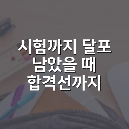 시험까지 달포 남았을 때 합격선까지 끌어올리는 방법 - 요약