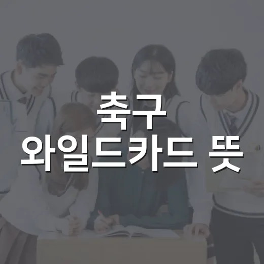축구 와일드카드 뜻, 헷갈리지 않게 이해하는 방법 - 요약