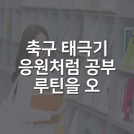 축구 태극기 응원처럼 공부 루틴을 오래 굴리는 방법 - 요약