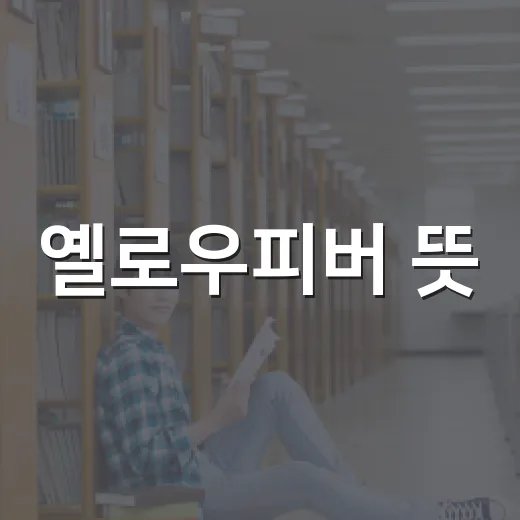 옐로우피버 뜻, 시험에 나오면 이렇게 이해하면 됩니다 - 요약