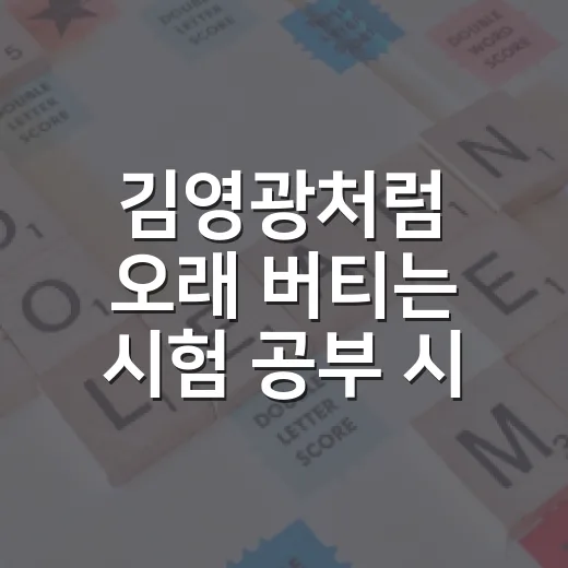 김영광처럼 오래 버티는 시험 공부 시스템 만드는 방법 - 요약
