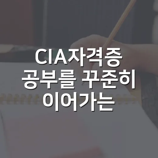 CIA자격증 공부를 꾸준히 이어가는 방법 - 요약
