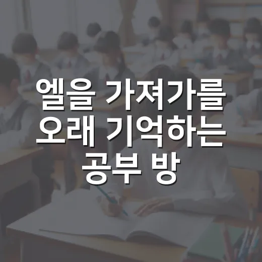 엘을 가져가를 오래 기억하는 공부 방법 - 요약