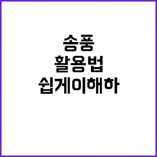 송풍의 의미와 활용법: 쉽게 이해하기 - 요약