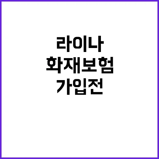 라이나화재보험 찾는 방법과 가입 전 확인할 것들 - 요약
