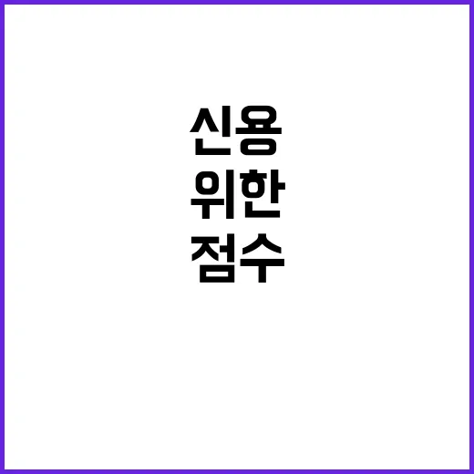 초보자를 위한 신용평가 관리 방법, 점수 올리려면 이렇게 챙기면 됩니다 - 요약
