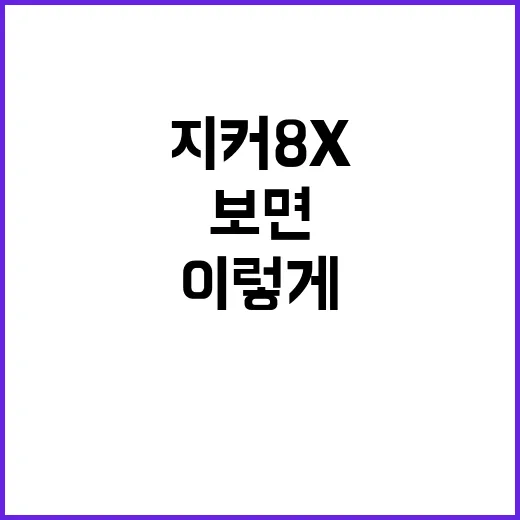 지커 8X 제대로 고르려면 이렇게 보면 됩니다 - 요약