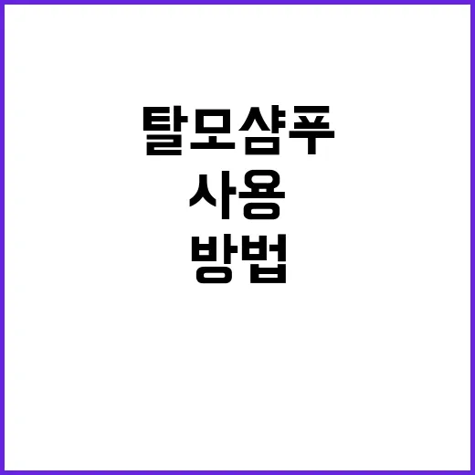 탈모샴푸 고르는 방법, 성분표와 사용 습관부터 보면 덜 헷갈려요 - 요약