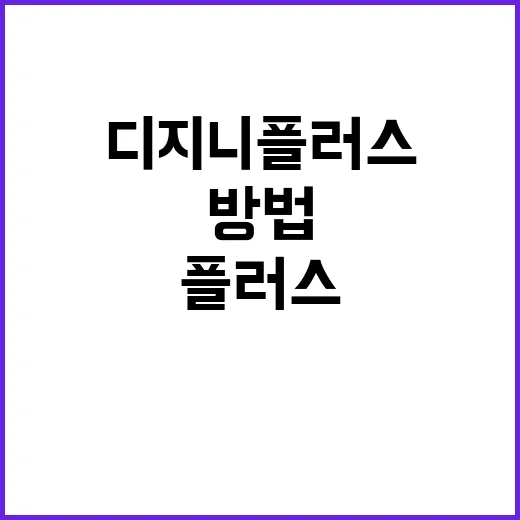 디지니플러스 처음 쓰는 사람이 후회 줄이는 방법 - 요약