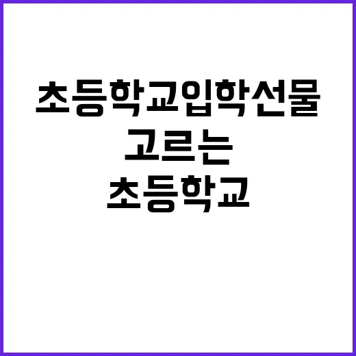 초등학교입학선물 고르는 방법, 오래 쓰는 아이템은 이렇게 고르면 좋아요 - 요약