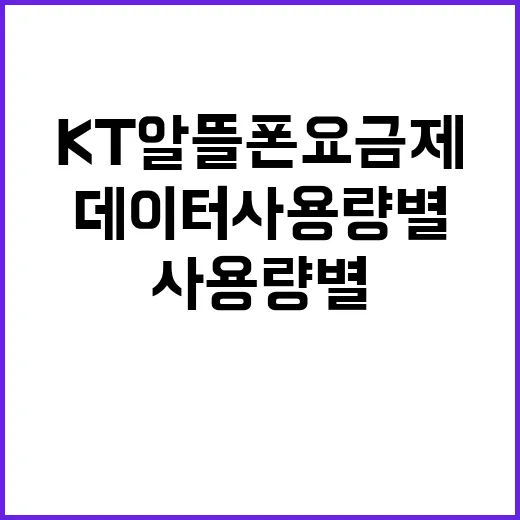 KT알뜰폰요금제 고르는 방법, 데이터 사용량별로 이렇게 보면 쉬워요 - 요약