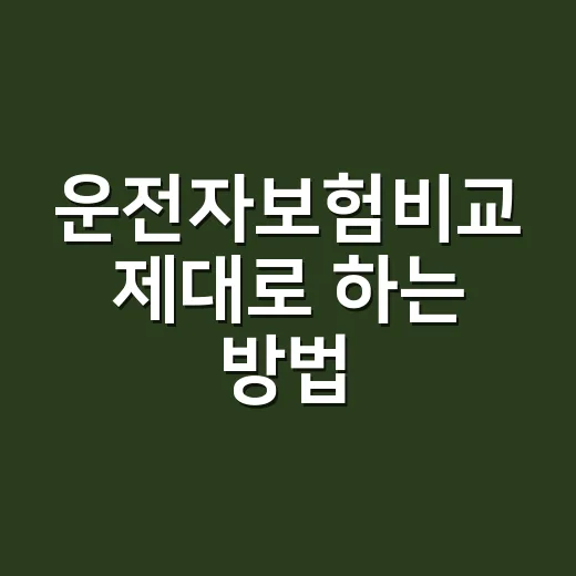 운전자보험비교 제대로 하는 방법, 가격보다 먼저 볼 것들 - 요약