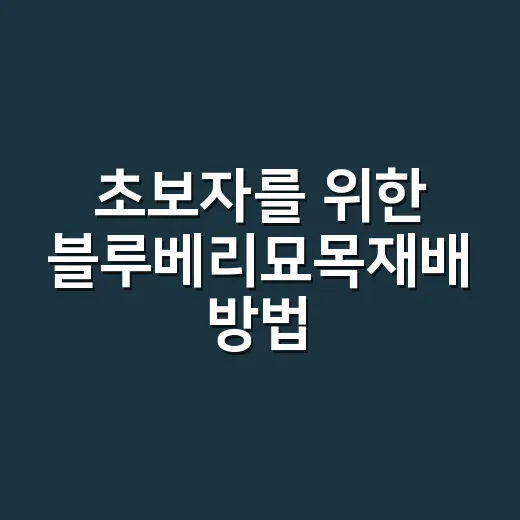 초보자를 위한 블루베리묘목재배 방법, 심는 시기부터 물주기까지 - 요약