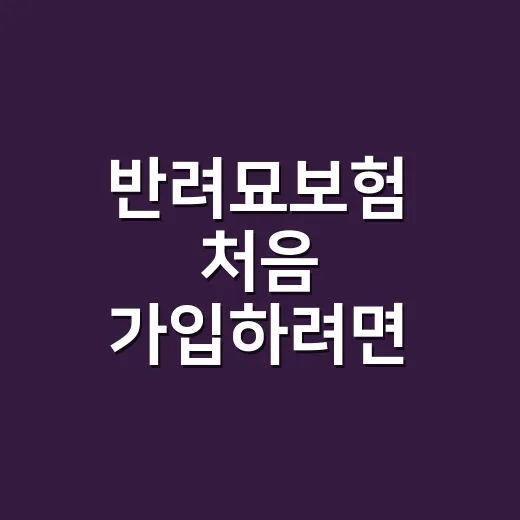 반려묘보험 처음 가입하려면 이렇게 비교하면 됩니다 - 요약